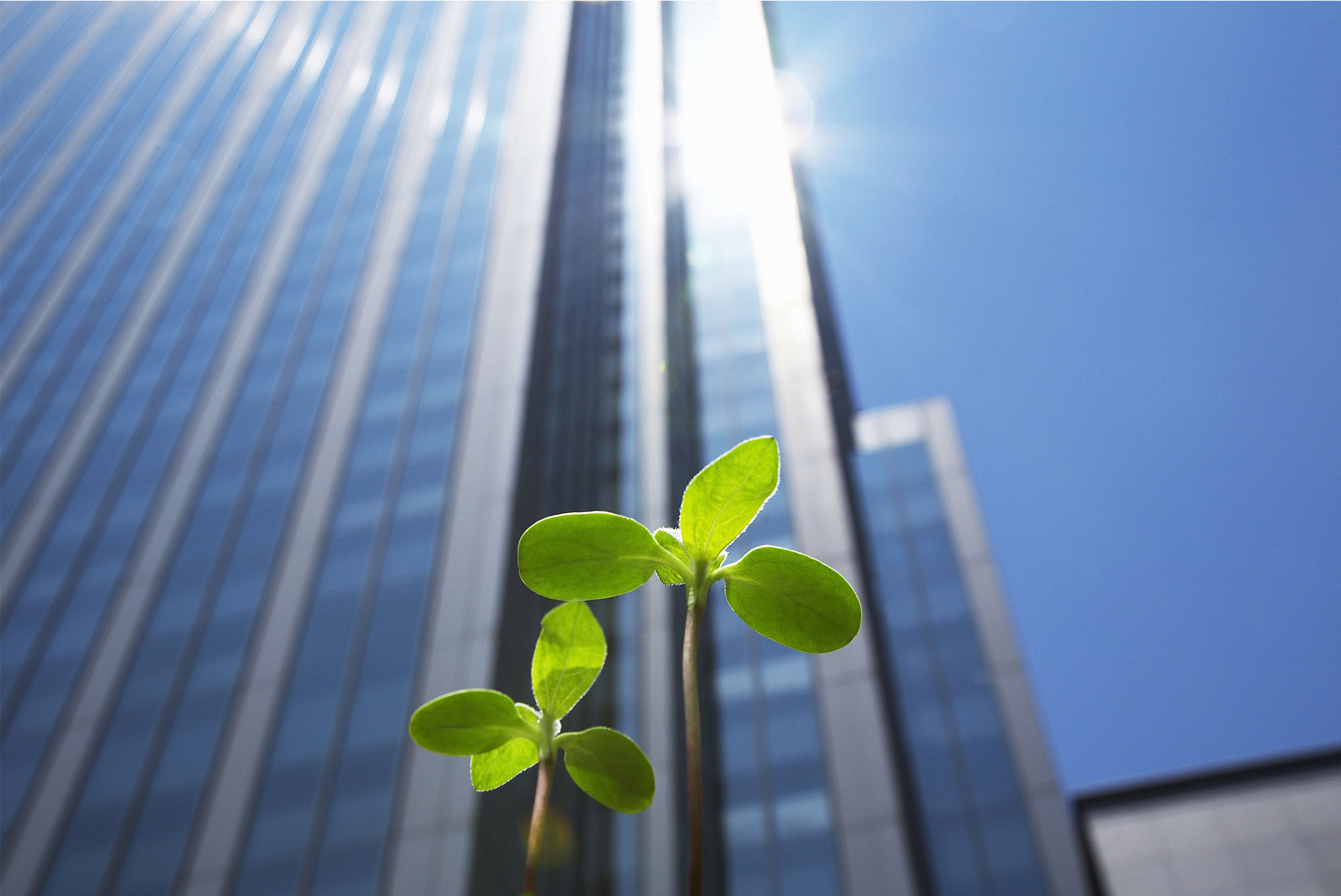 ライフクエスト株式会社