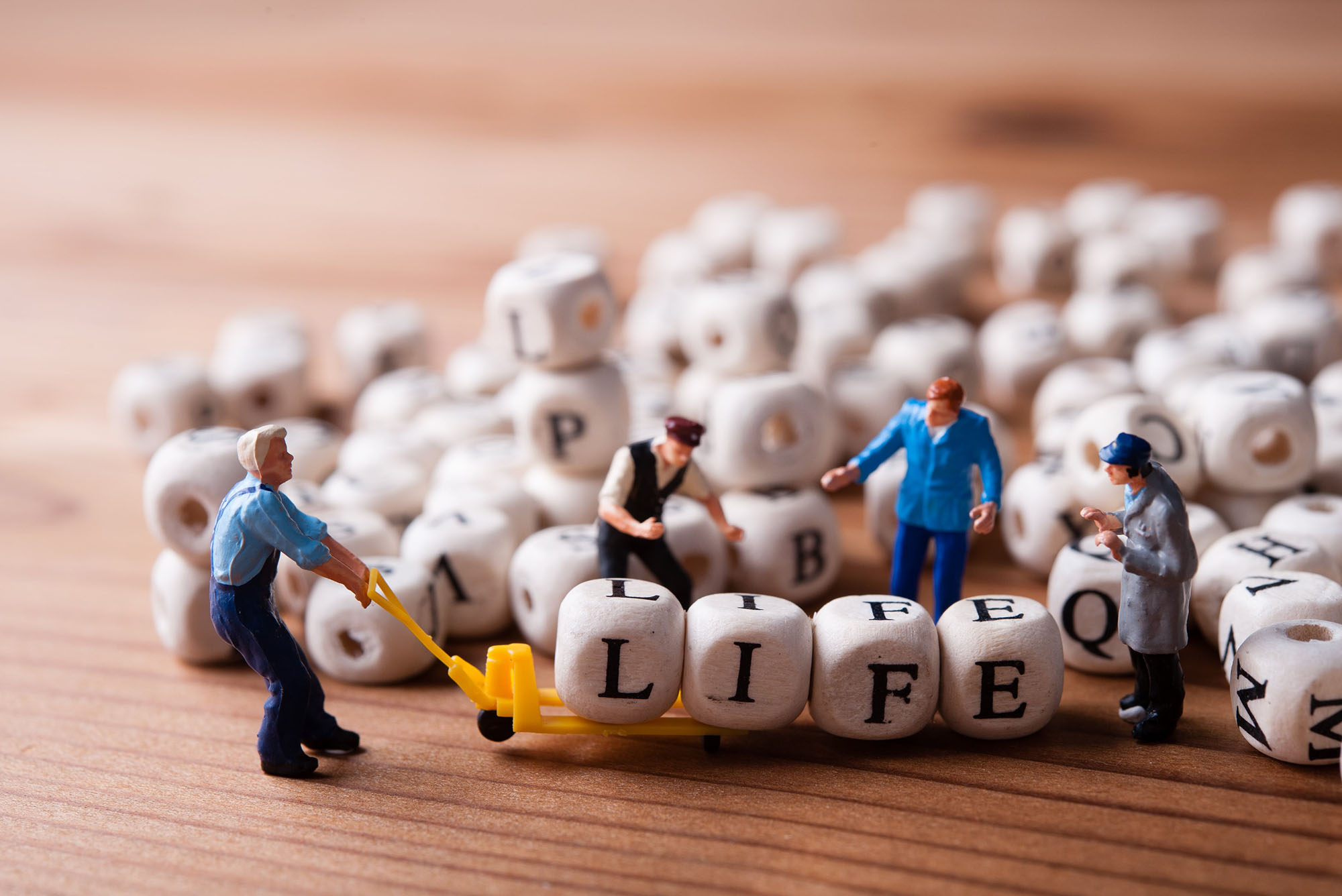 ライフクエスト株式会社